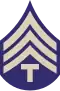 The T/4 insignia of a letter "T" below three chevrons.