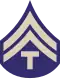 The T/5 insignia of a letter "T" below two chevrons.