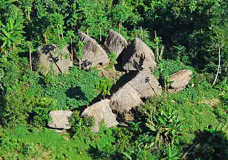 Indigenous village as seen from above. There are a lot of trees surrounding the houses