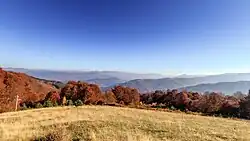 Landscape of the Northeastern Region