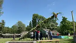 Men installing a tall pole made of plants