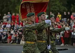 A color guard from the Border Guard Service Institute in the 2019 parade.