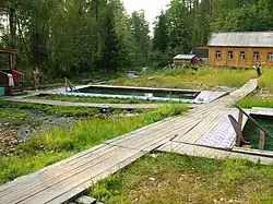 Glade with therapeutic pools