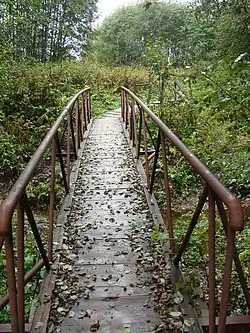 The Cheryomushka River