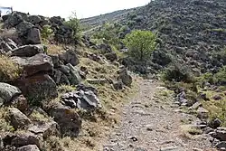 Օրգով ԱՄՐՈՑCastle