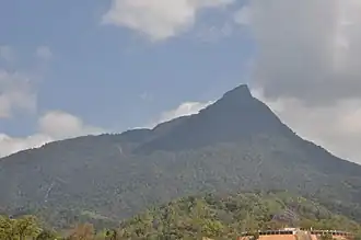Mountain covered in forest
