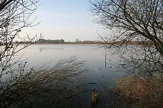 The Harchies Marshes.