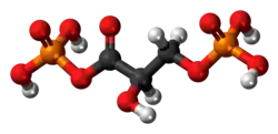 1,3-Bisphosphoglyceric acid molecule