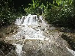 Waterfall inside the forest of Namkha