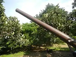 World War II-era Japanese cannon
