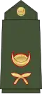 Lieutenant Nepali: उपसेनानी, romanized: Upasēnānī (Nepali Army)[56]