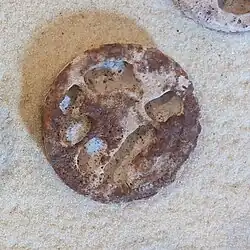 Figure seated by fire (possible)