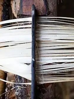 6. The fibres are then "combed" to separate them.