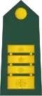 Polkovnik[20] (Slovenian Ground Force)