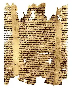 A portion of the second discovered copy of the Isaiah Scroll, 1QIsab.