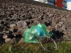 The result of 1 h of plogging in Fräntorp (Sweden) on May 31, 2020.