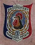 Insignia of CJF 1 - Team 10.