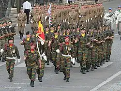 Belgian colours: French influence through common culture.