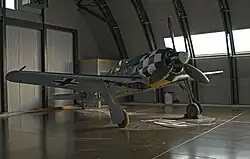 Colour photograph of a monoplane aircraft