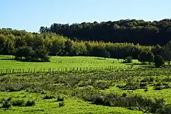 The location of the Misère well.