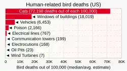 Image 53In the U.S. cats kill on the order of 10,000 times as many birds as wind turbines. (from Wind turbine)