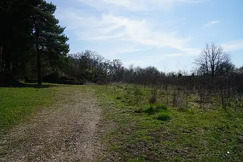 Location of the shaft.