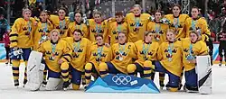 Team Sweden, and