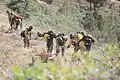 Hand crews clearing brush to protect structures near Glenwood Springs