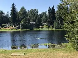 View across a small lake