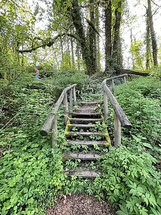 Wooden stairway