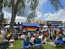 People on lawn watching show