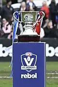 The 2024 VFLW premiership cup