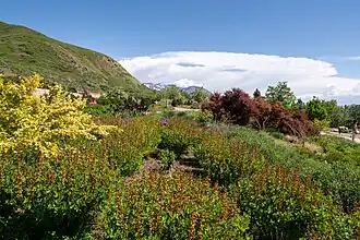 View from one of the walkways.