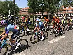 The peloton passing through Humlebæk north of Copenhagen