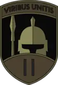 Former shoulder sleeve insignia, subdued variant, of the 2nd Battalion.