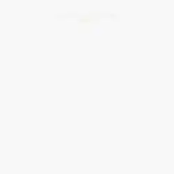 A blank white square.