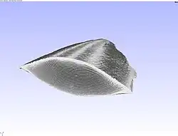 3D view of part of a cuttlebone at low resolution.