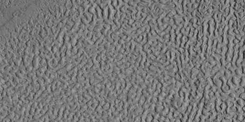 Brain terrain, as seen by HiRISE under HiWish program Location is Ismenius Lacus quadrangle.