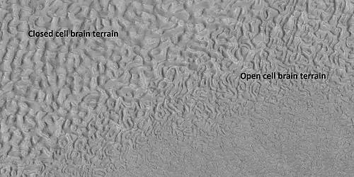 Open and closed brain terrain with labels, as seen by HiRISE under HiWish program Image location is Ismenius Lacus quadrangle.