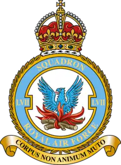 Squadron badge
