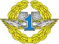1st grade Specialist Badge