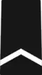 Army JROTC private rank insignia