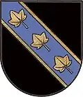 Coat of arms of Hohenau an der Raab