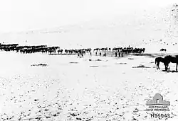 Rows of horses and men stand distant from the camera in a desert.