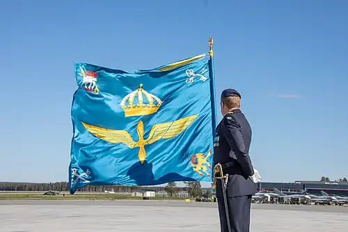 Honor guard with the wing's colour