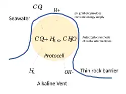 Protocells in contact with a thin rock barrier in a hydrothermal vent get a free supply of energy from the pH gradient.[40]