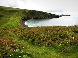 Above the beach at Mwnt
