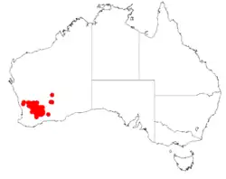 "Acacia beauverdiana" occurrence data from Australasian Virtual Herbarium