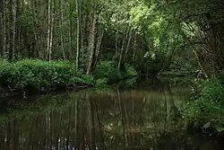 Looks like this Site of Community Interest has an image. Don't worry, you can take one of your own, and upload it too!