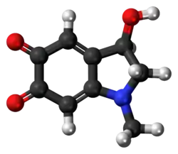 Ball-and-stick model of the adrenochrome molecule